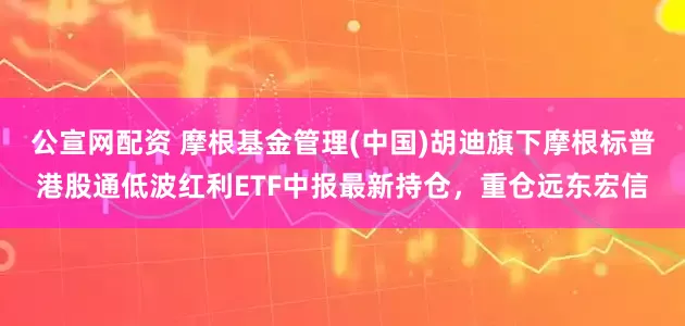公宣网配资 摩根基金管理(中国)胡迪旗下摩根标普港股通低波红利ETF中报最新持仓，重仓远东宏信